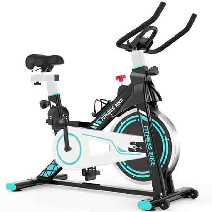 Weight of flywheel on spin online bike